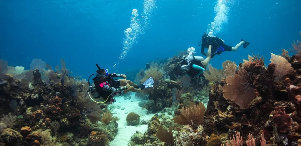 divemaster4
