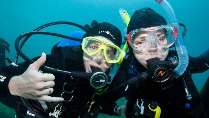discover local diving.w