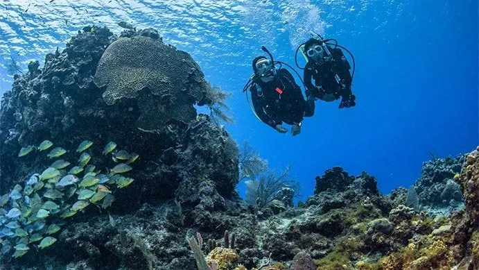 discover scuba diving 3